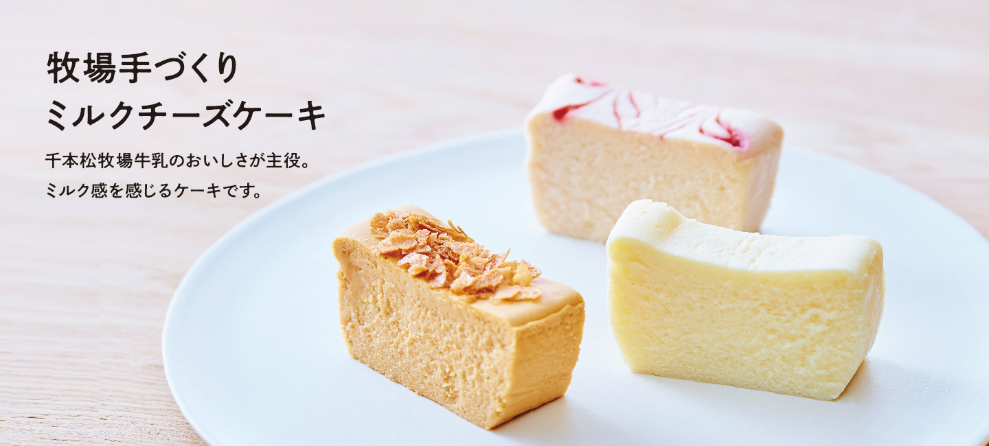 【牧場手づくりミルクチーズケーキ】千本松牧場牛乳のおいしさが主役。ミルク感を感じるケーキです。