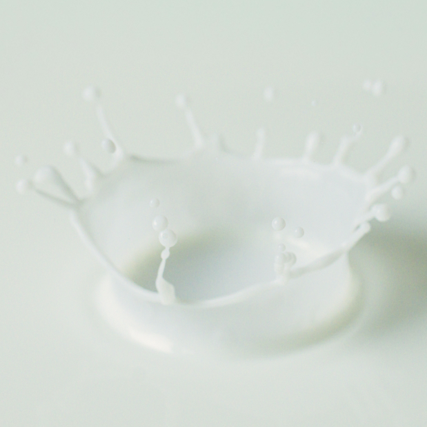 千本松牧場のアイスクリームおいしさの秘密