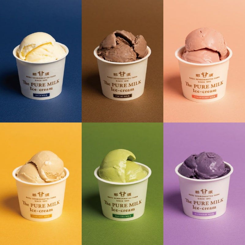 The PURE MILK アイスクリーム10個セット