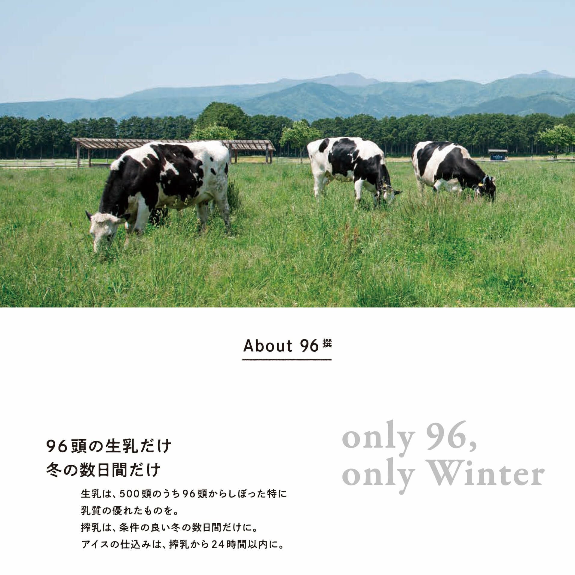 96撰 5個セット | 那須千本松牧場 直営店